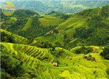 Du lịch Tây Bắc 4 ngày (số 1): Mộc Châu - Sơn La - Điện Biên - Lai Châu - Sapa